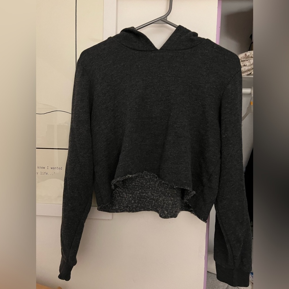 brandy melville cropped hoodie